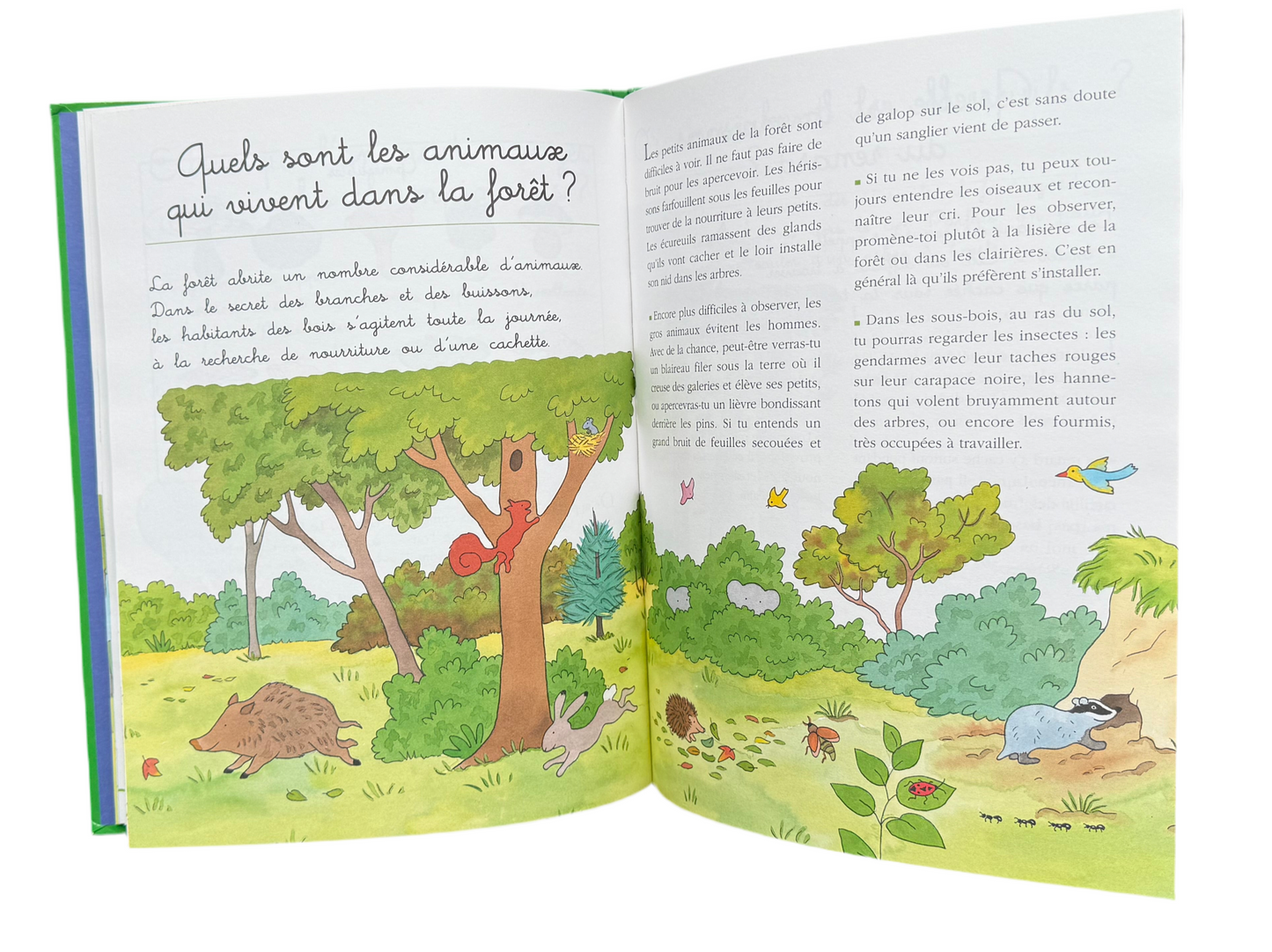 Dis-moi pourquoi Babar  « Dans la forêt » (français)