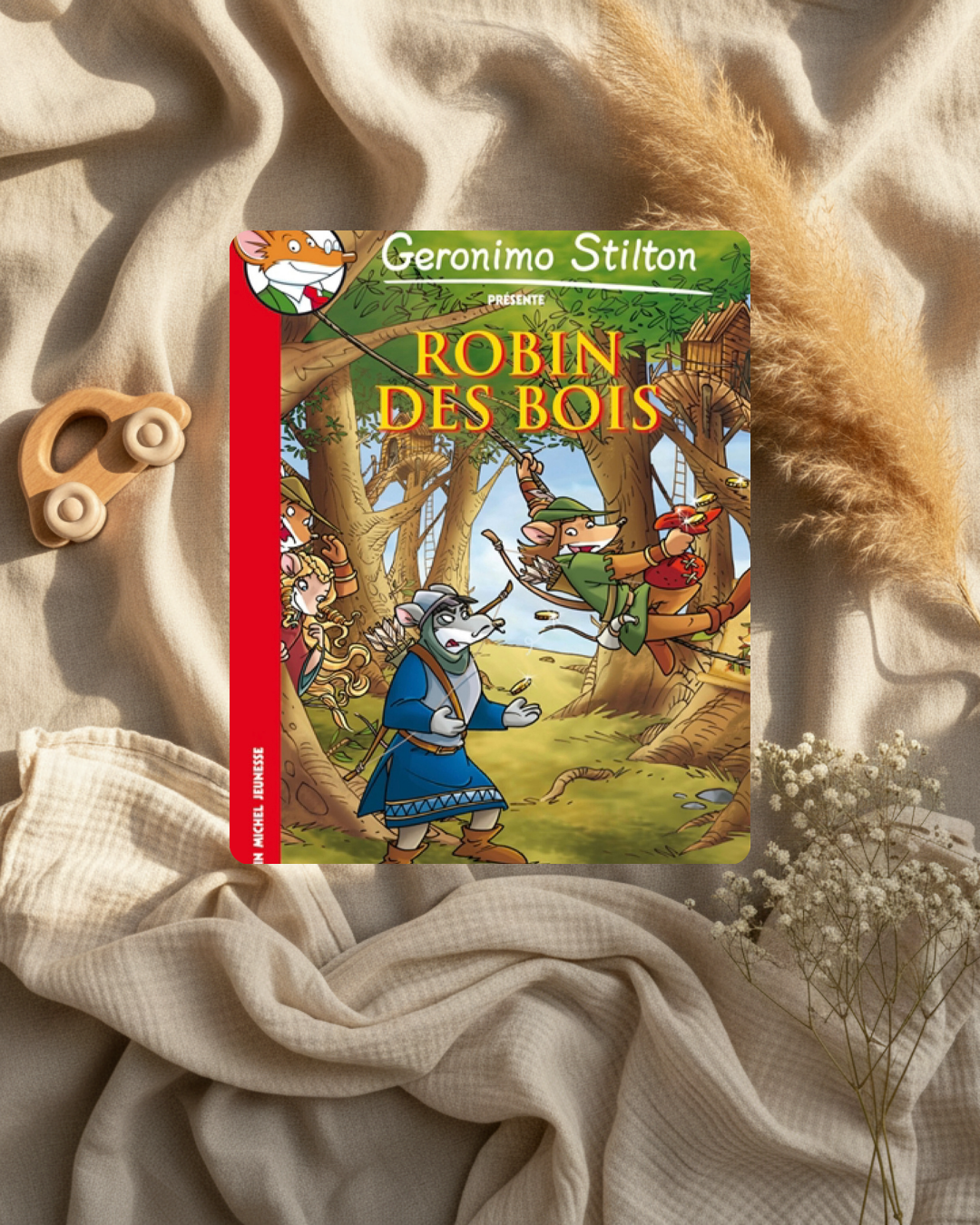 Livre Geronimo Stilton « Robin des bois », couverture illustrée