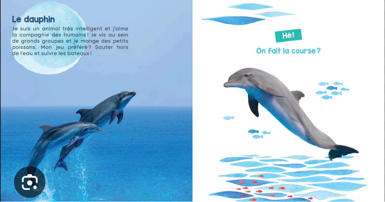 Mon livre des animaux marins (Français) *Neuf*