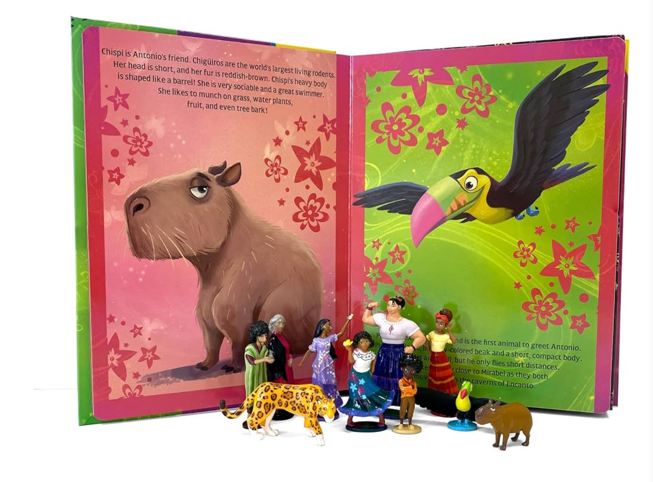 Livre et figurines - Encanto-