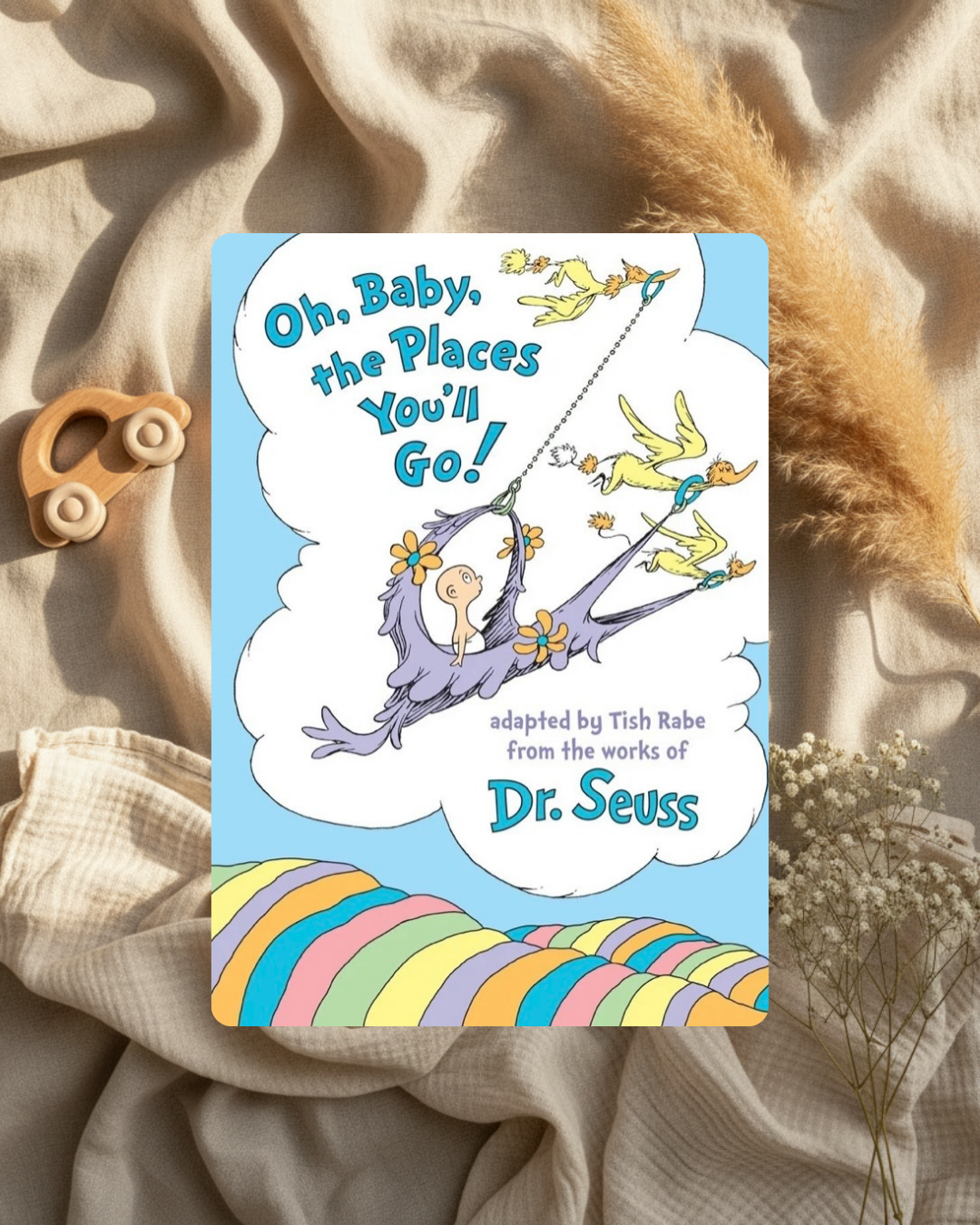 Livre - Oh, baby, the places you’ll go! (Anglais)