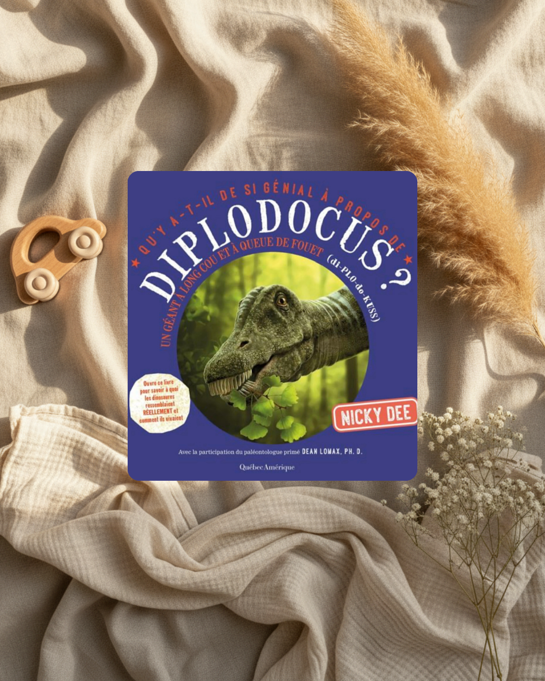 Couverture de livre enfant sur le diplodocus, dinosaure vert au centre.
