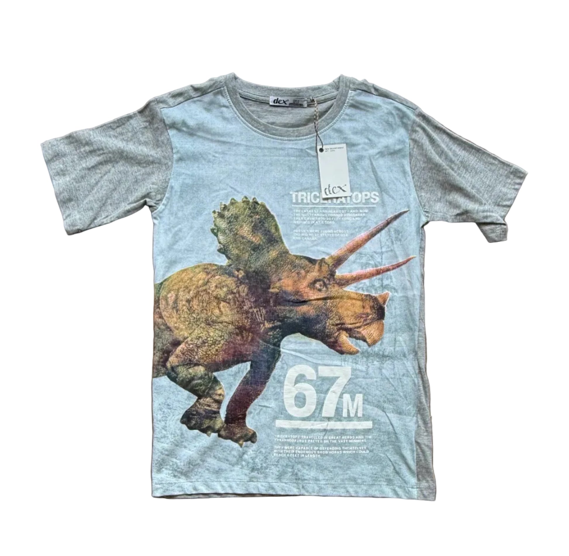 T-shirt enfant Dex bleu clair à motif dinosaure, manches courtes et col rond