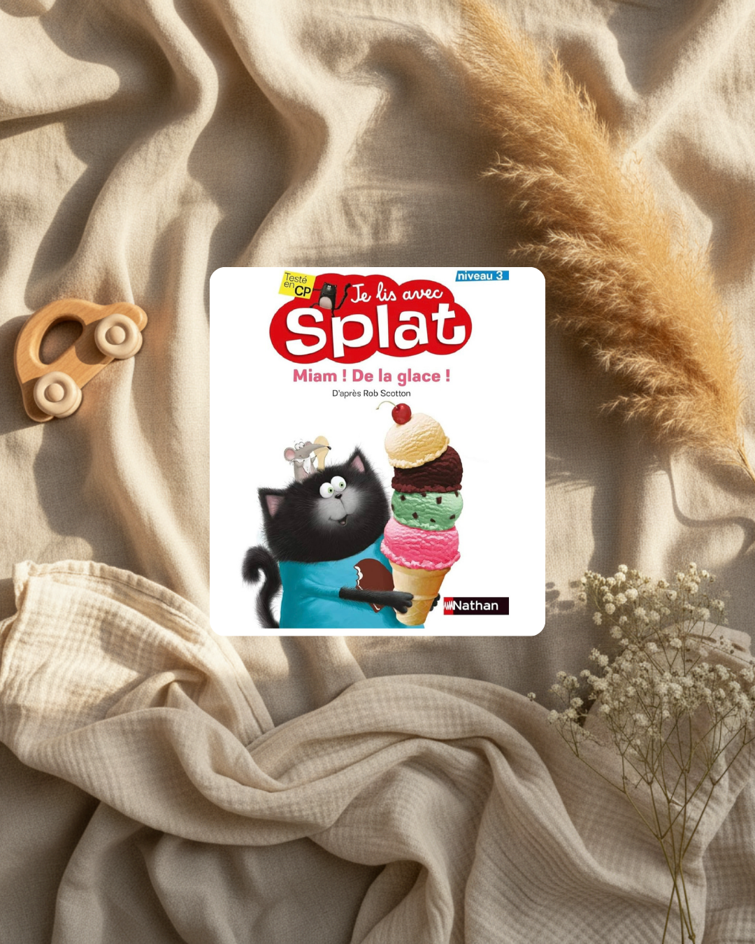 Livre Splat « Miam ! De la crème glace » : couverture avec chat noir et glaces.